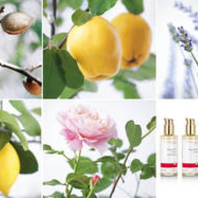 Dr.Hauschka｜香りと使用感にこだわった好みで選べるボディミルク