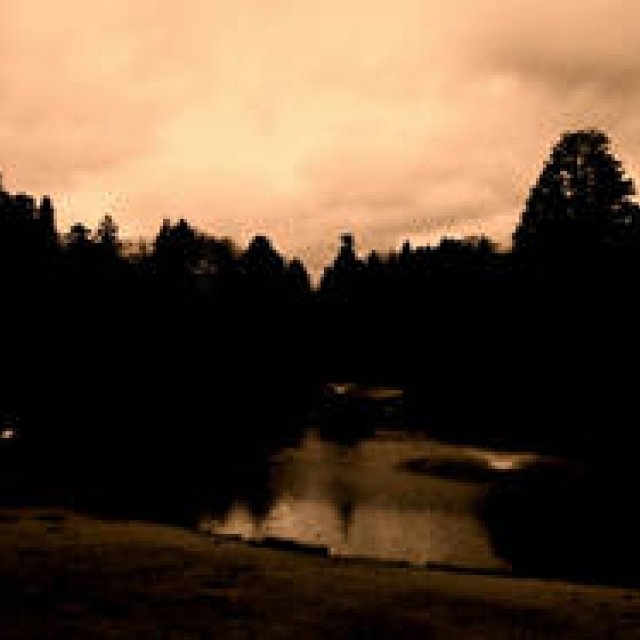 Diary-T 226 　決意の日曜日だと思う。