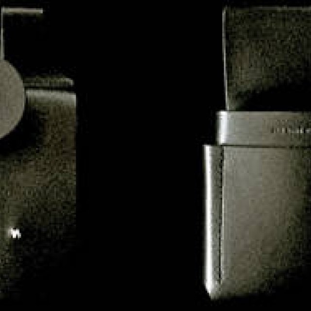 Diary-T 227 　芽吹く