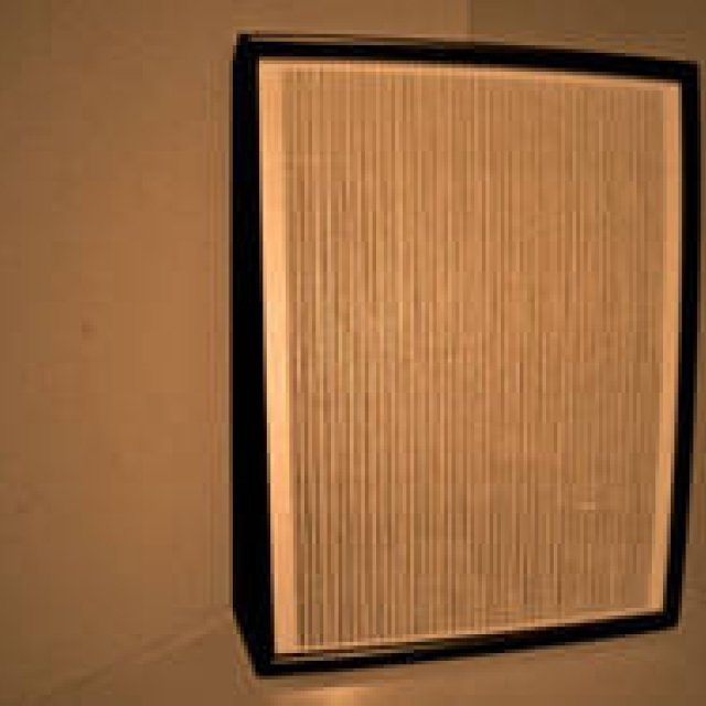 Diary-T 233 けっこう毛だらけ