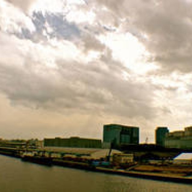 Diary-T 234 素敵なカップ