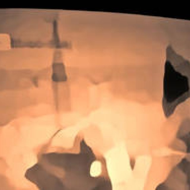 Diary-T 237 Chernobil チェルノブイリ 家族の帰る場所