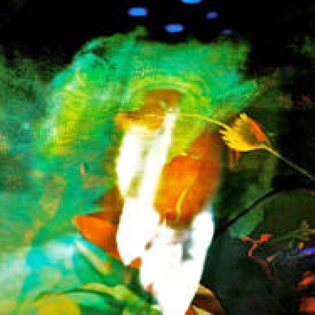 Diary-T 238 The Promise of Music