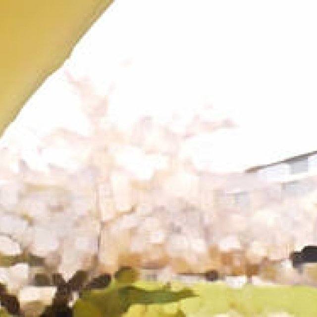 Diary-T 241 「散れ」