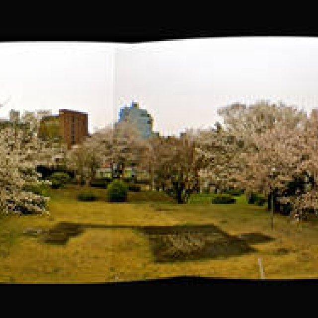 Diary-T 242 自らを慰めていることを病という。