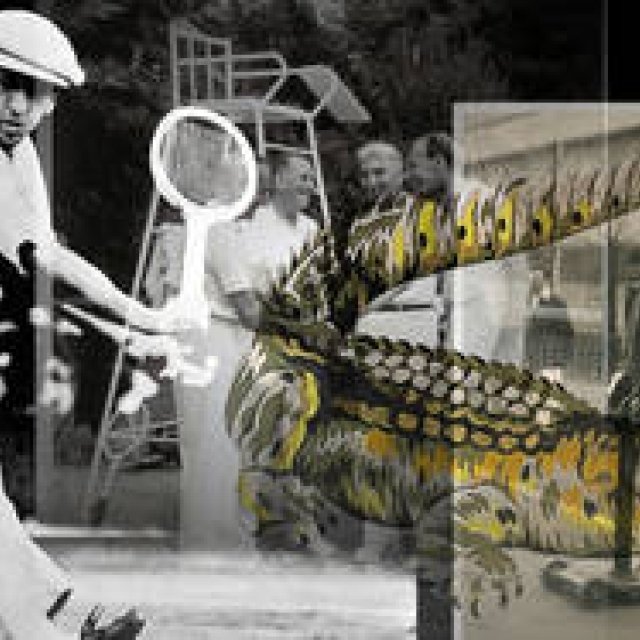 LACOSTE｜ラコステ スポーツウェアとしての来歴