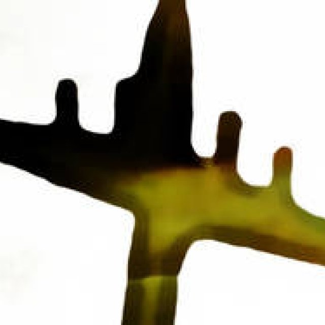 Diary-T 251 Speak Low