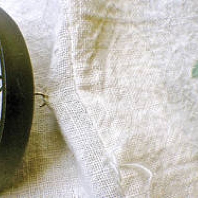 Diary-T 259 今は見せない。