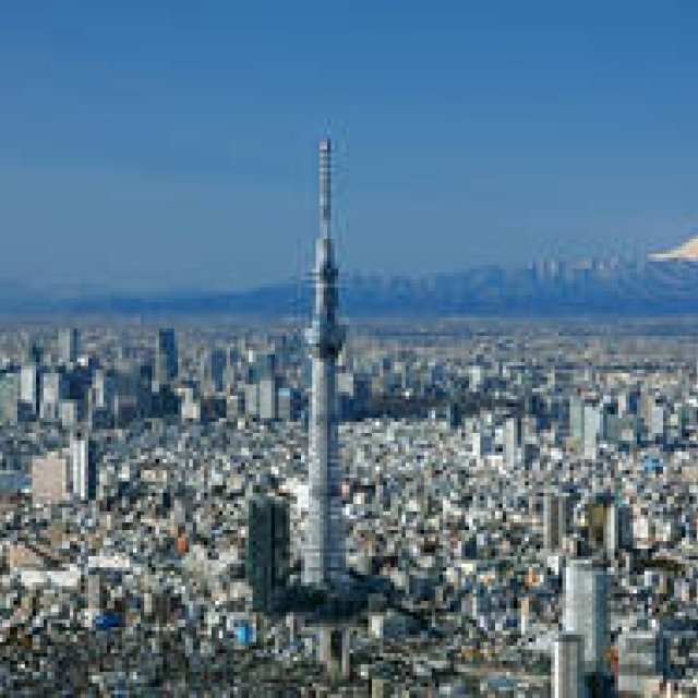 特集｜トウキョウ発、スカイツリー便り