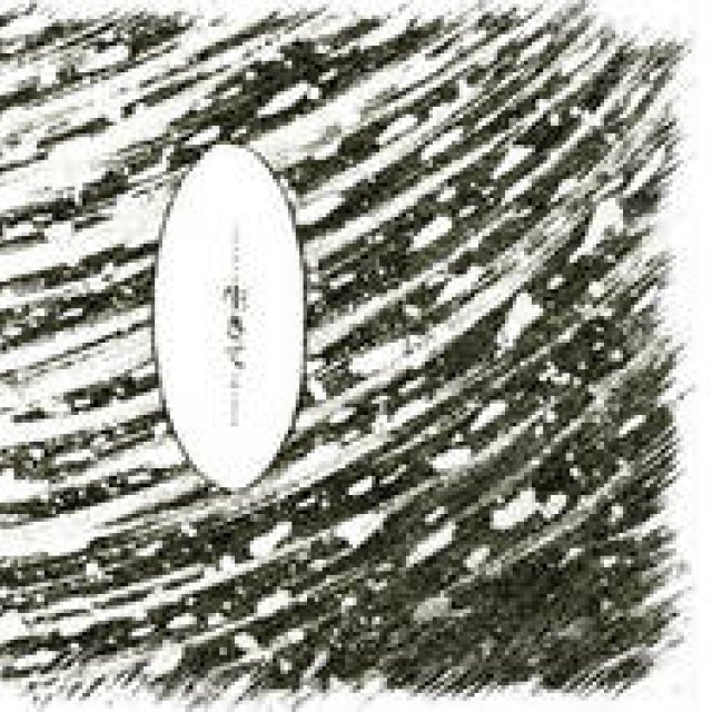 Diary-T 261 生きて