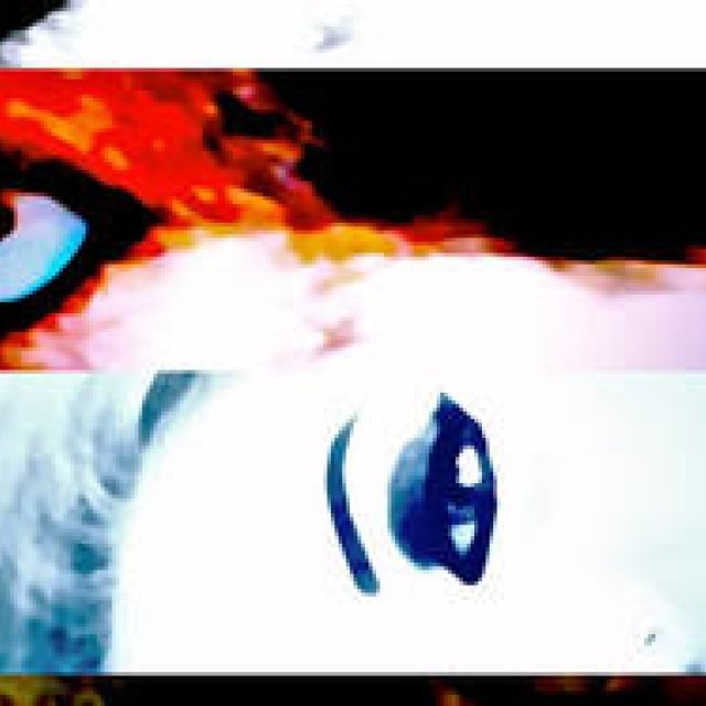 Diary-T 262 See me. 焼き上がりました。