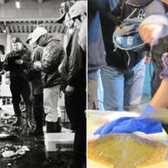 COOK IT RAW｜「食道Shoku-do / 食へとつづく道」自然派シェフたちの4日間の冒険（後編）