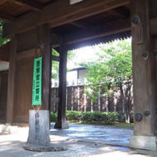 連載・塚田有一│みどりの触知学＜特別編・2012夏＞　朱夏～都会の山中～