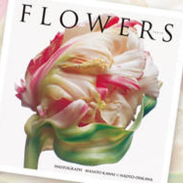 BOOK｜河合正人×大川直人『FLOWERS(フラワーズ）』
