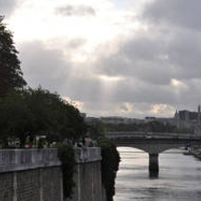 連載・塚田有一│みどりの触知学＜特別編・2012秋 パリ＞　谺する森　声の　登る