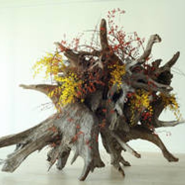 ART｜注目の若手華道家ユニット、プランティカ初の大型個展『plantica_Nomadic』