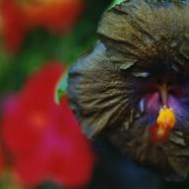 ART｜渋谷ヒカリエで『蜷川実花展』開催