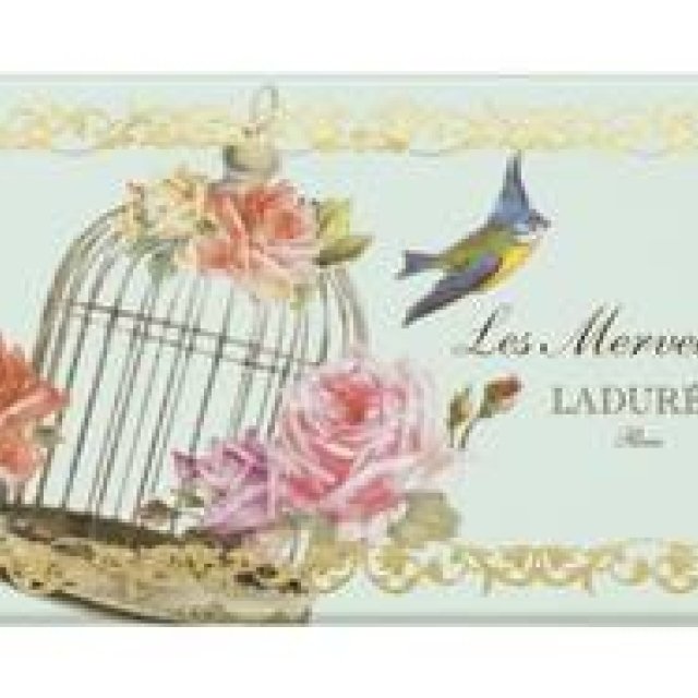 Les Merveilleuses LADURÉE│スプリング コレクションが到着
