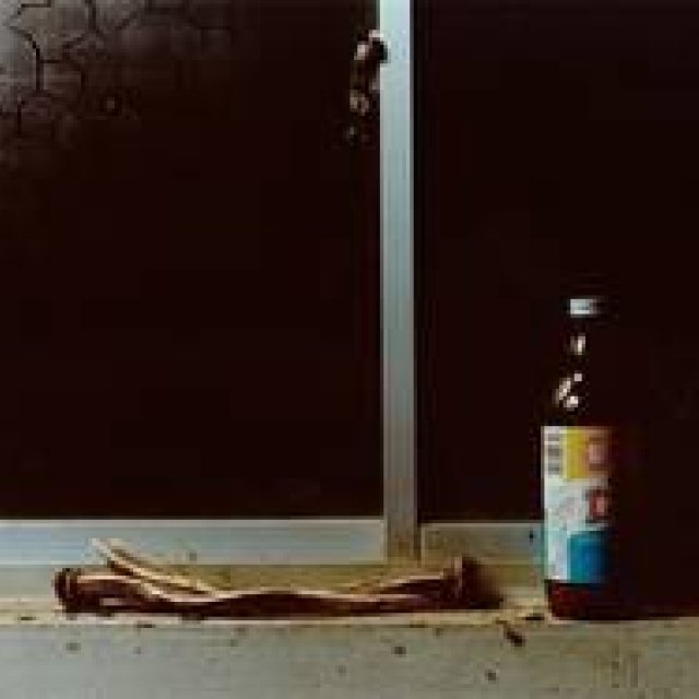 ART│代官山蔦屋書店でフォトエキシビション『5』を開催