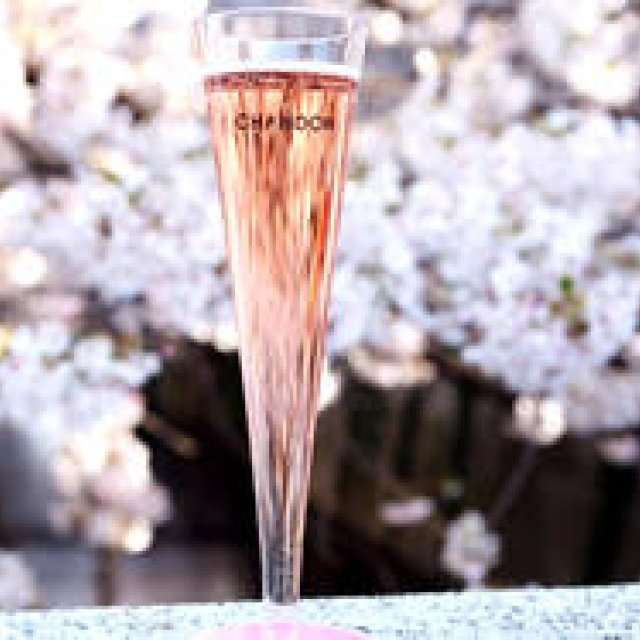 EAT｜今年もやってきた「お花見 CHANDON 目黒川」