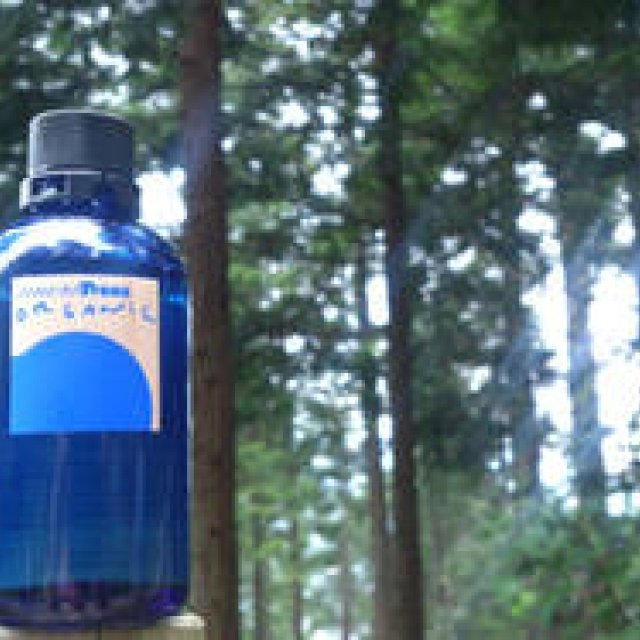 more trees organic｜「森のめぐみ」を活かすあらたなチャレンジ