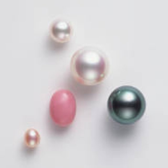 MIKIMOTO｜真珠発明120周年を記念して、“真珠の学校”を開催