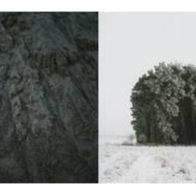 ART｜写真家アンネ・シュヴァルベの日本での初個展『アレス』