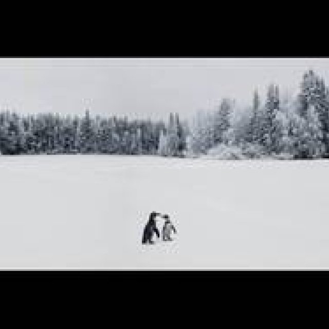 ART│hpgrp GALLERY TOKYOでフォトグラファーRichの新作展『Story3...』