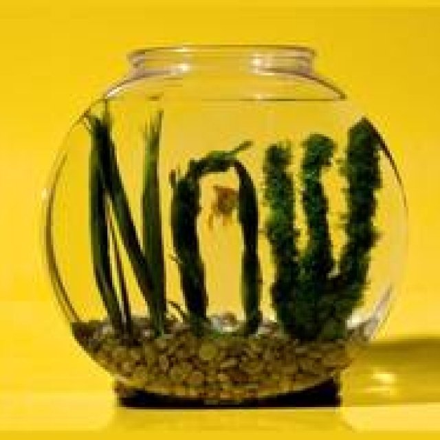 ART｜gggで『TDC展2013』と日本初個展となる『KM カレル・マルテンス』展