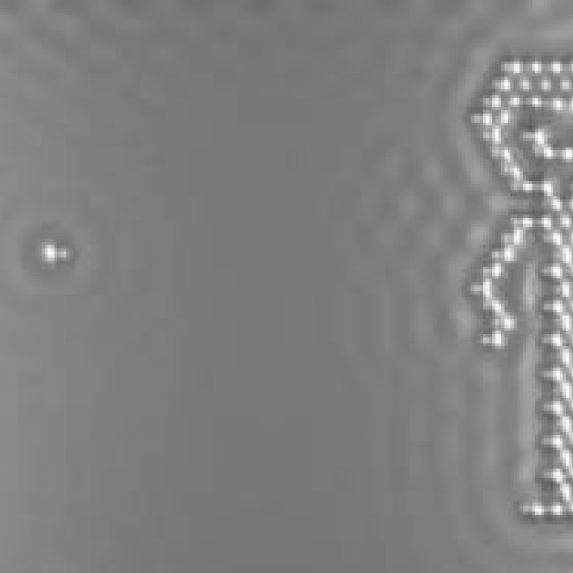 原子で描く世界最小のアニメ｜IBM