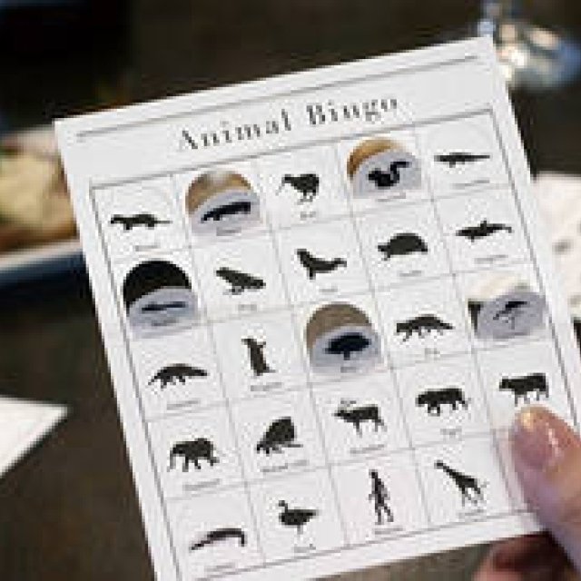 CEMENT PRODUCE DESIGN｜今度のビンゴゲームには数字を動物に置き換えた「Animal Bingo」