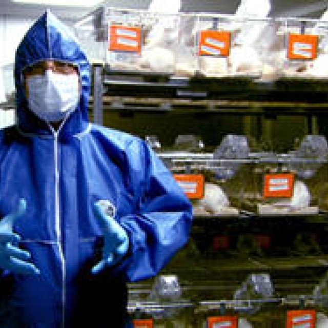 MOVIE｜後戻りできないテクノロジーの真実に迫るドキュメンタリー『世界が食べられなくなる日』