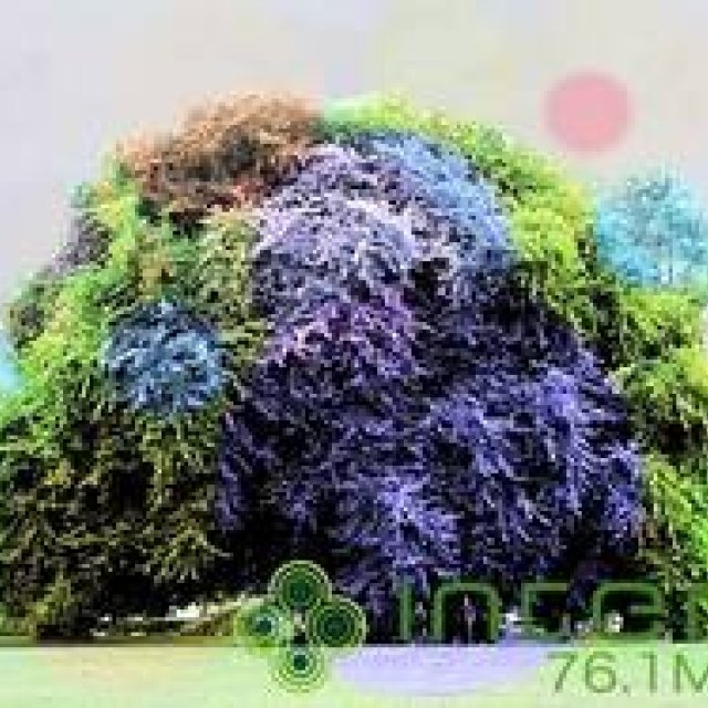 松浦俊夫｜心地よい音楽を初夏の風に乗せて