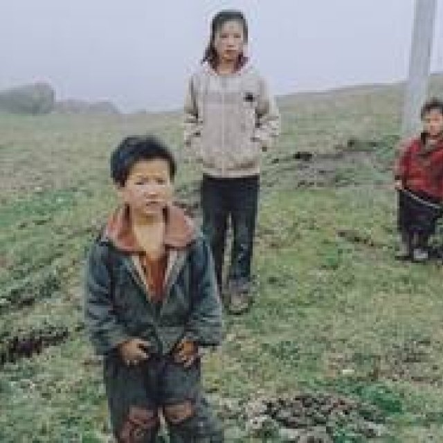 MOVIE｜ワン・ビンによる最新ドキュメンタリー『三姉妹～雲南の子』