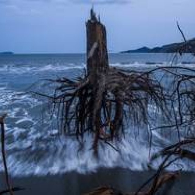 ART｜『世界報道写真展2013』を東京都写真美術館で開催