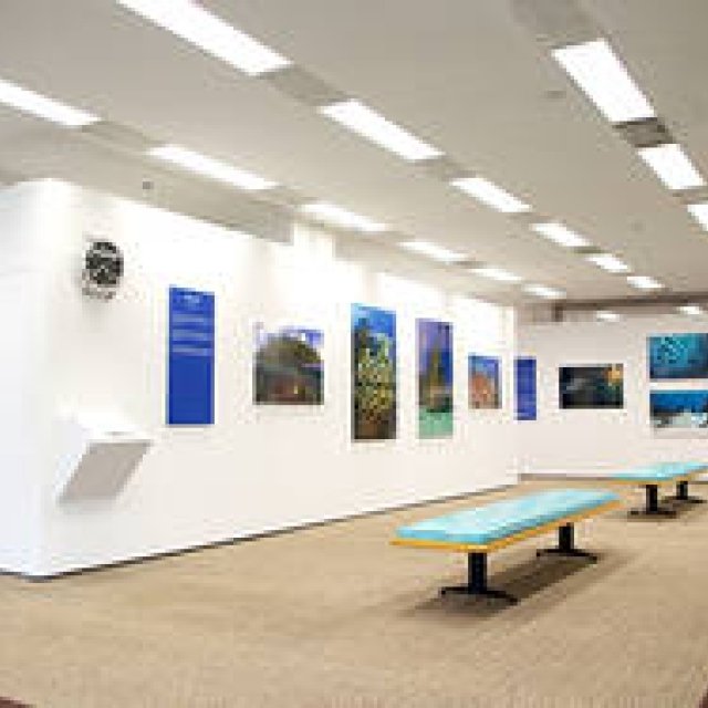 BLANCPAIN│神秘的な海中世界へ誘う写真展『オーシャンズ』