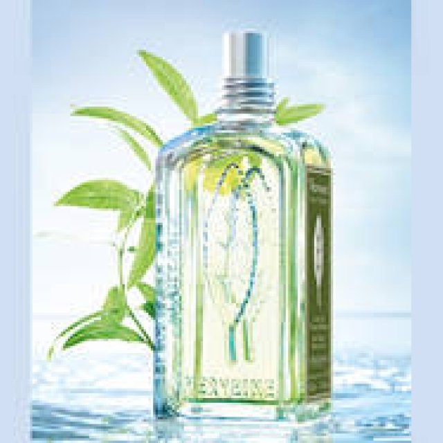 L'OCCITANE｜極めて新鮮。ピュアシトラスの「新ヴァーベナ」完成！