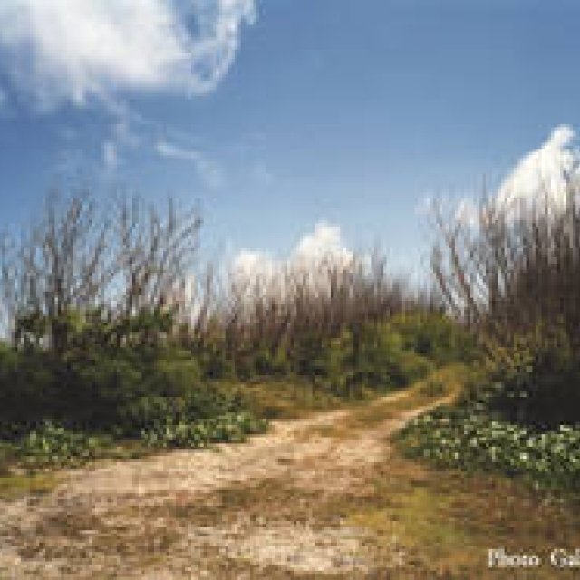 ART｜東京都写真美術館で『米田知子 暗なきところで逢えれば』展