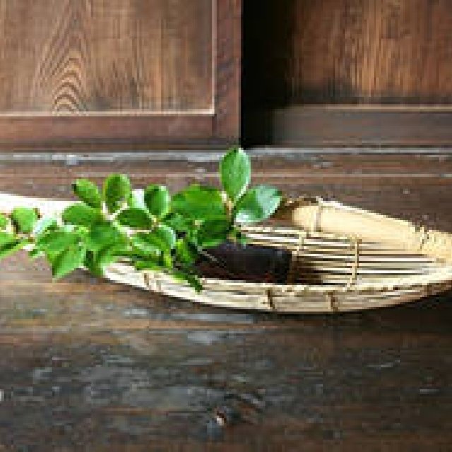 Cassina ixc.｜「竹籠展 - 伝えたい美しいもの」開催