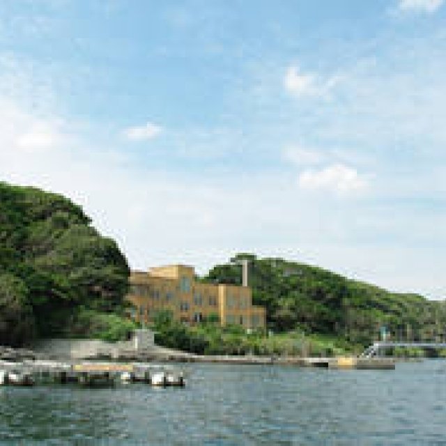 MIKIMOTO｜真珠発明120周年 “真珠の学校”第2弾