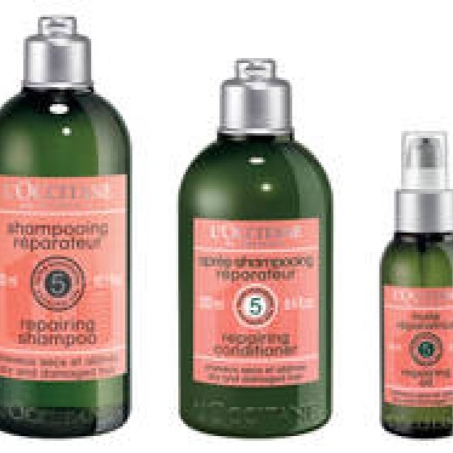 L'OCCITANE｜マルチに働くオイルも新登場。人気ヘアケアシリーズのさらツヤ革命