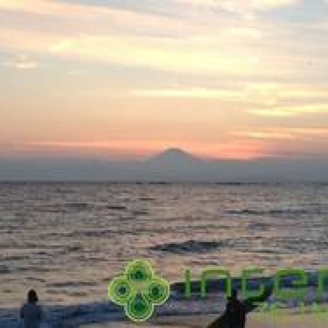 松浦俊夫｜夏は来年もまたやってくる。でも今年の夏はもう戻らない。