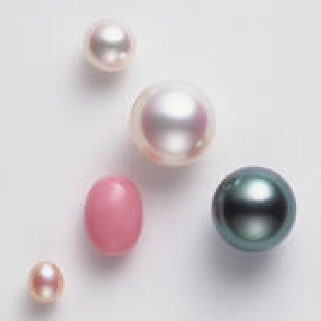 MIKIMOTO｜「真珠の学校」第3弾「働く女性のためのパールジュエリーコーディネイト」講座