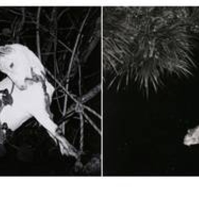 ART｜須田一政写真展『凪の片』が東京都写真美術館で開催