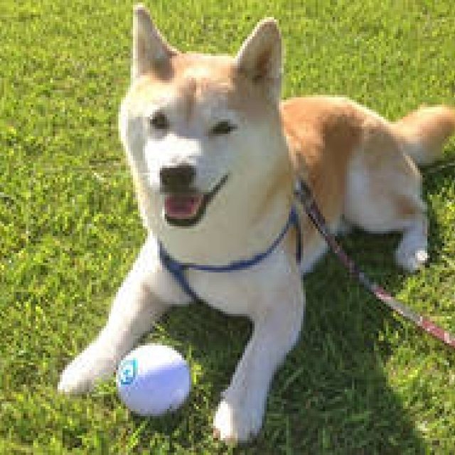 Orbotix｜世界初のロボティックボール「sphero 2.0」