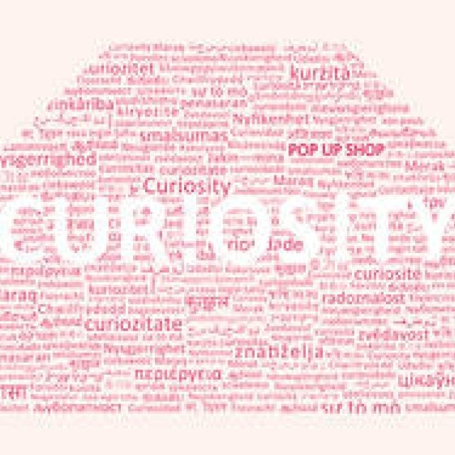 THE CONRAN SHOP｜ポップアップストアイベント「CUR!OS!TY」