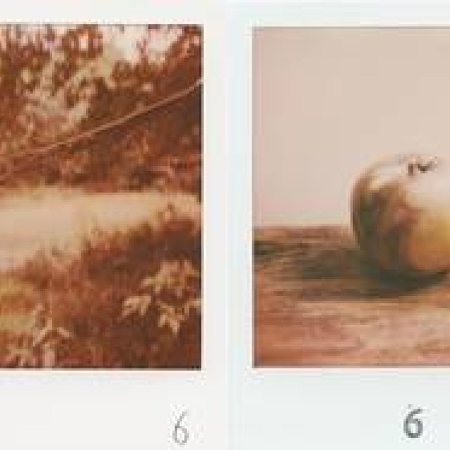 ART｜6人の写真家が競演する写真展『solo six』