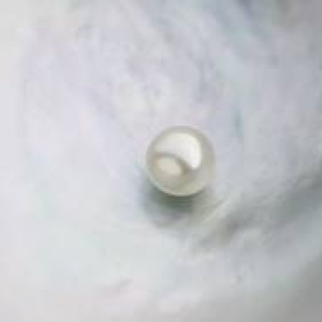 MIKIMOTO｜「真珠の不思議～科学の視点で見てみよう～」開催