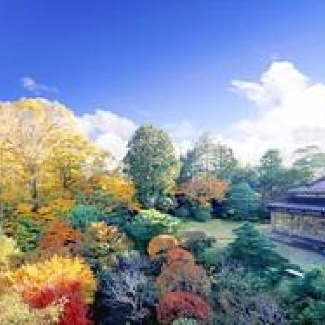 EAT｜1日1組の貸切料亭「辻家庭園～前田家家老旧横山家迎賓館～」