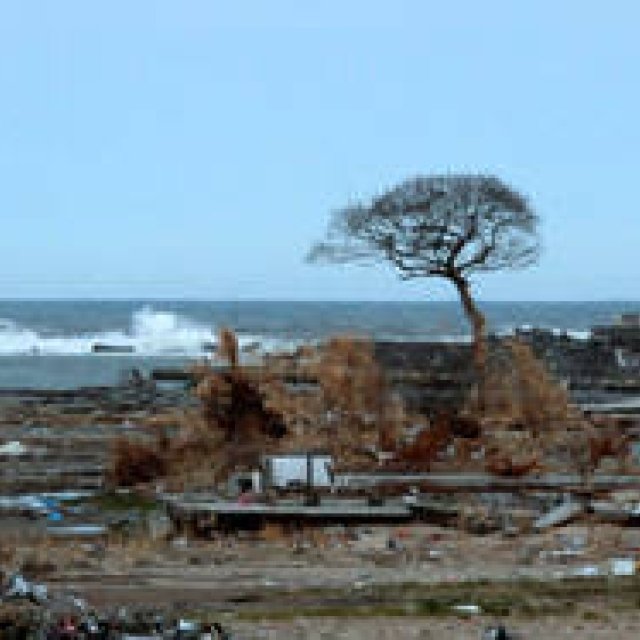 MOVIE｜ユーロスペースで特集上映『連帯、そして再生――福島』